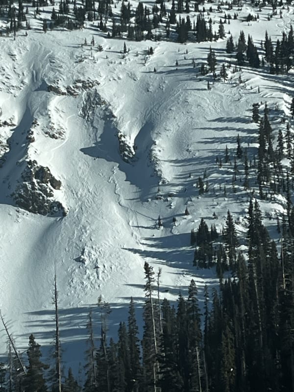 Observation photo 3