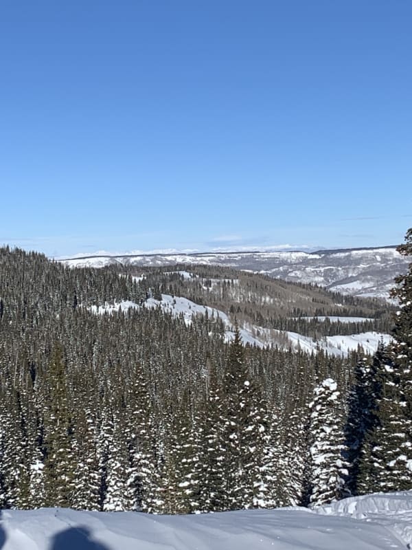 Observation photo 3