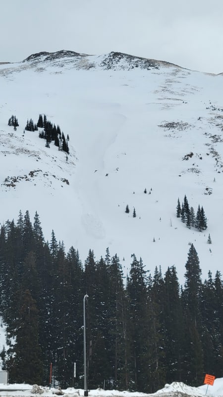 Observation photo 1