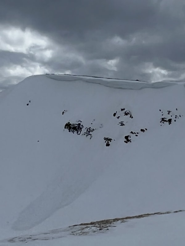 Observation photo 1