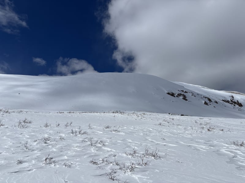 Observation photo 4