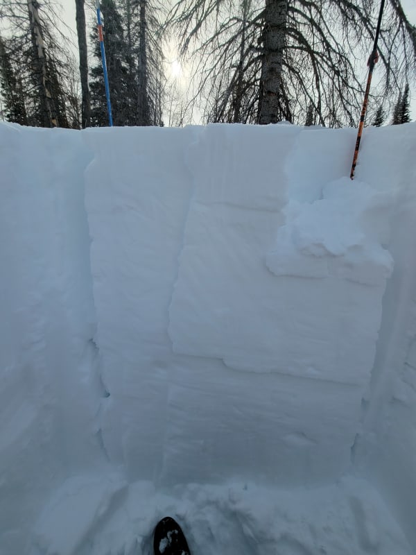 Observation photo 2