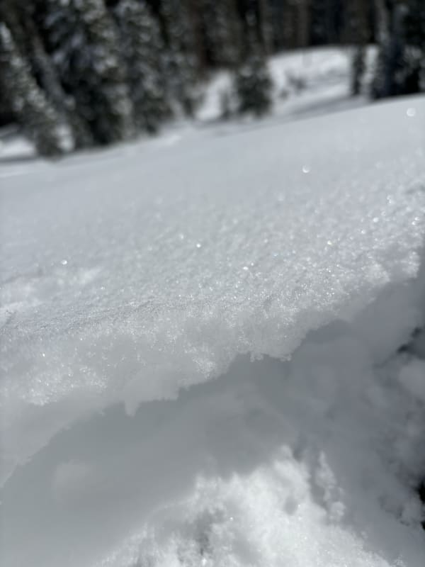 Observation photo 5