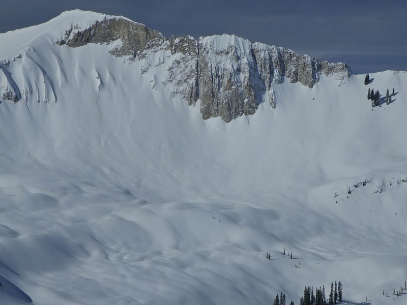 Observation photo 4