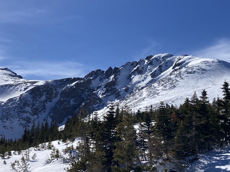 Observation photo 3