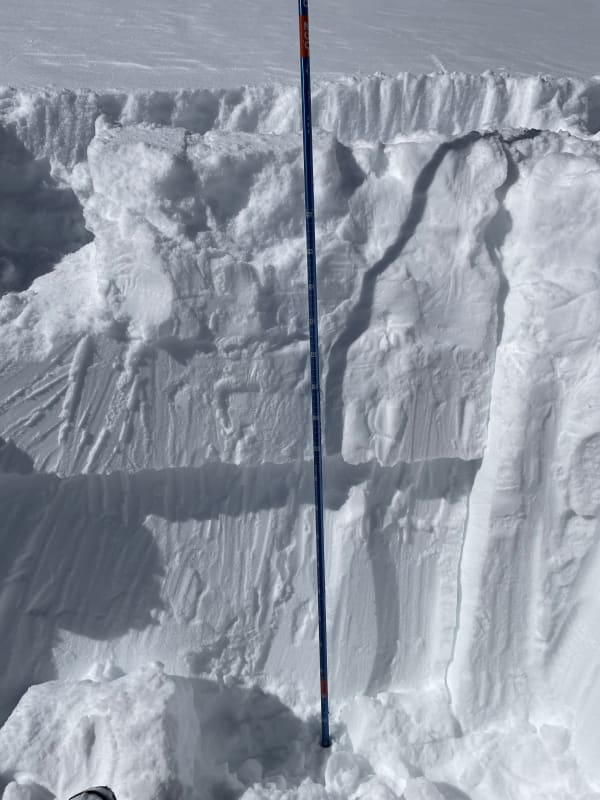 Observation photo 2