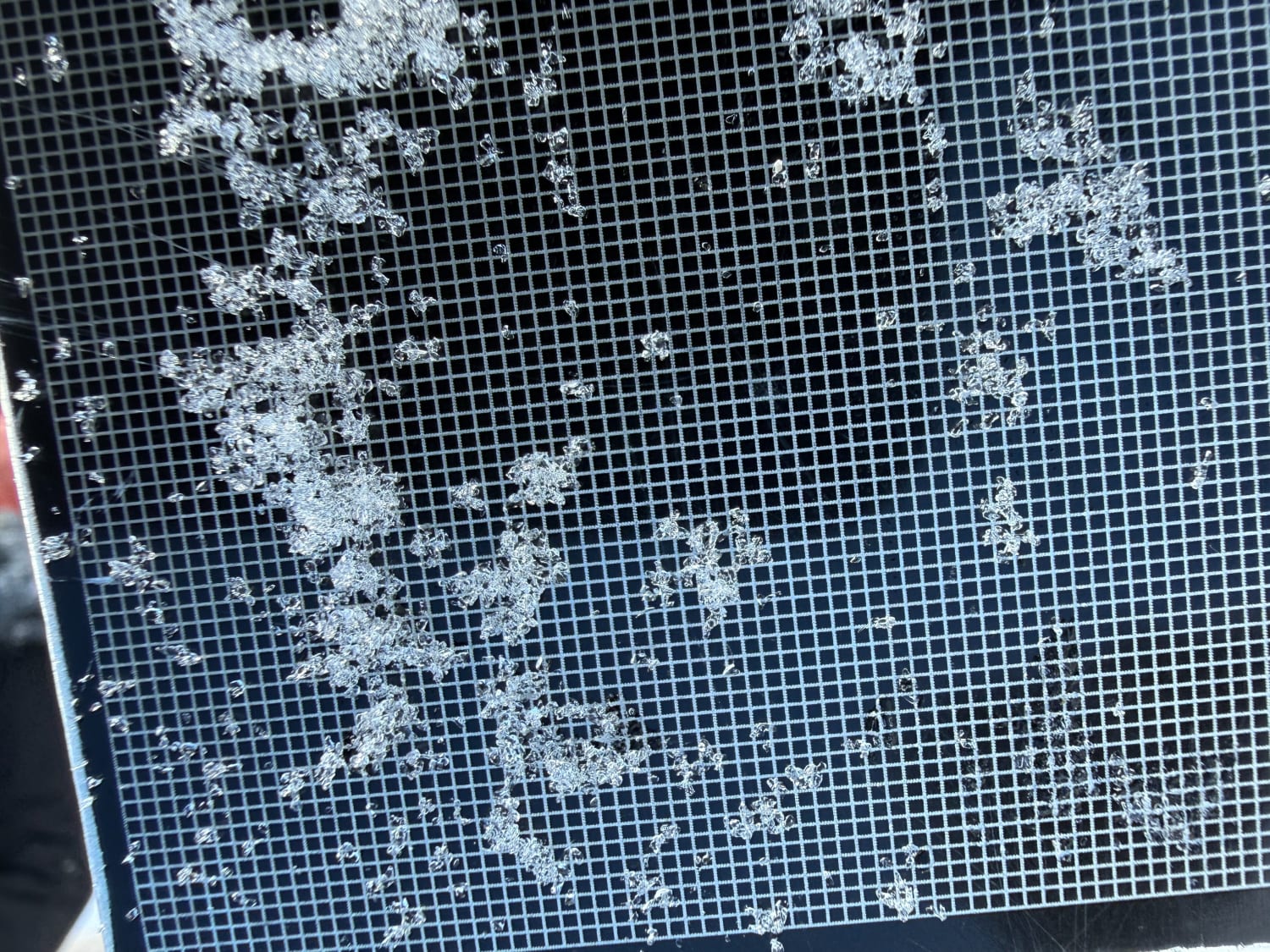 Observation photo