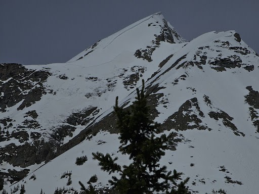 Observation photo 1