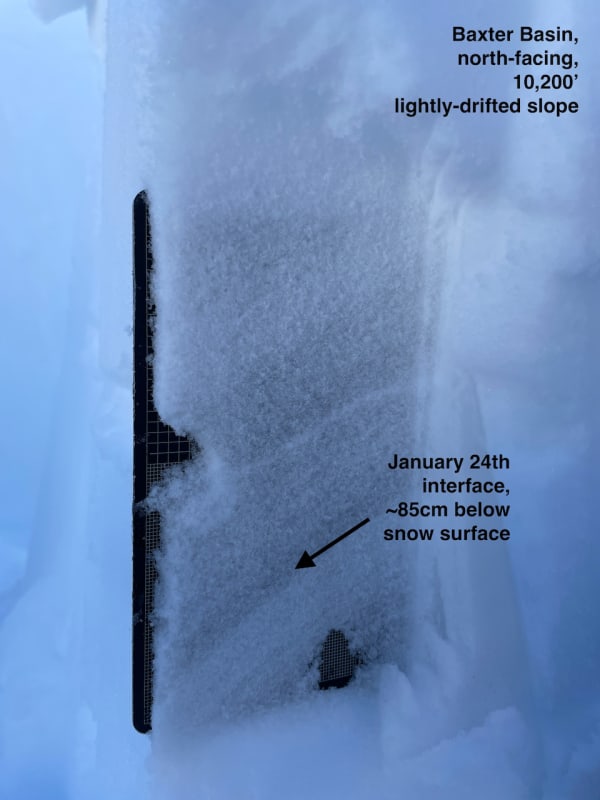 Observation photo 4
