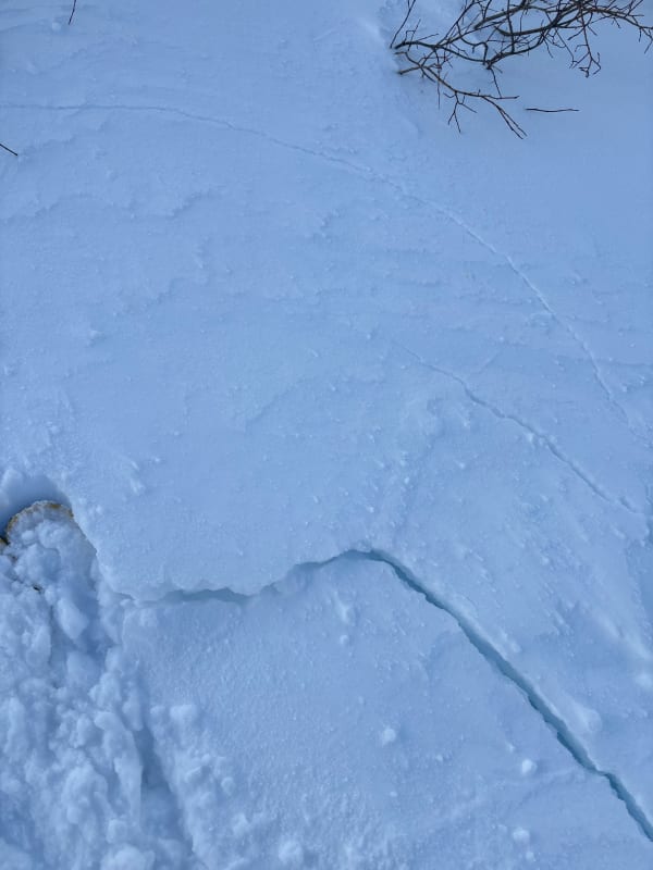 Observation photo 1