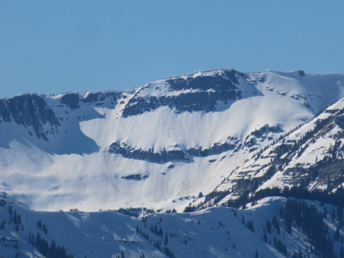 Observation photo