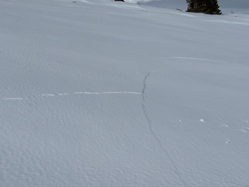 Observation photo 1