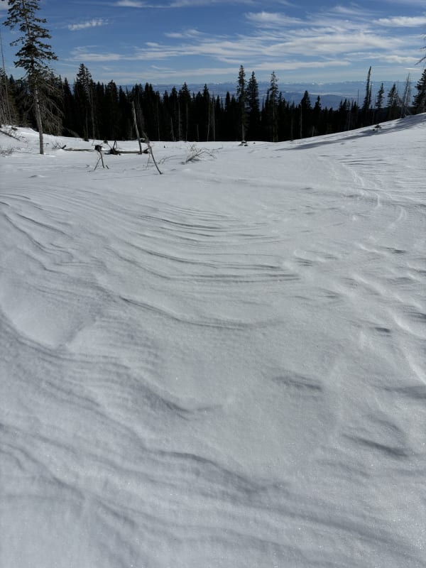 Observation photo 2