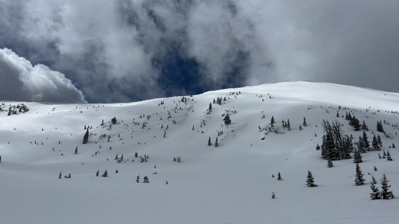 Observation photo 2