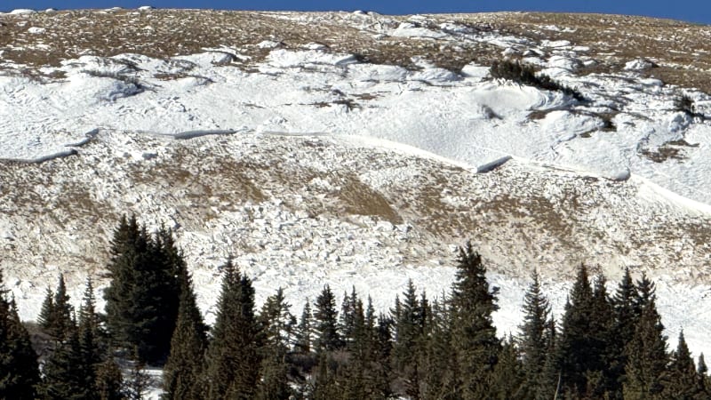 Observation photo 1