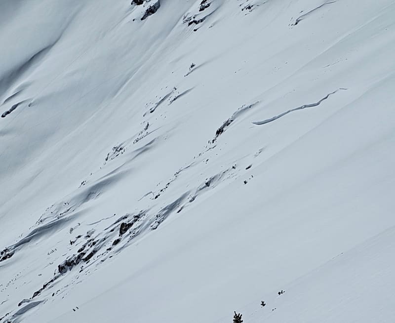 Observation photo 1