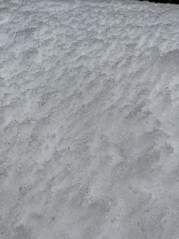 Observation photo 6