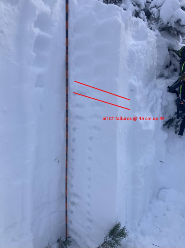 Observation photo 1