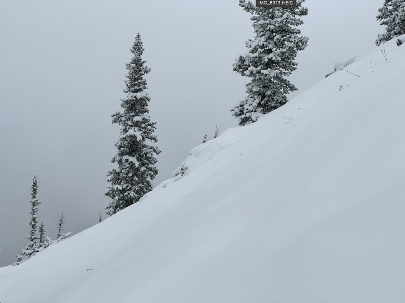 Observation photo 3