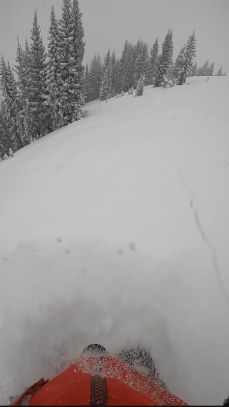 Observation photo 2