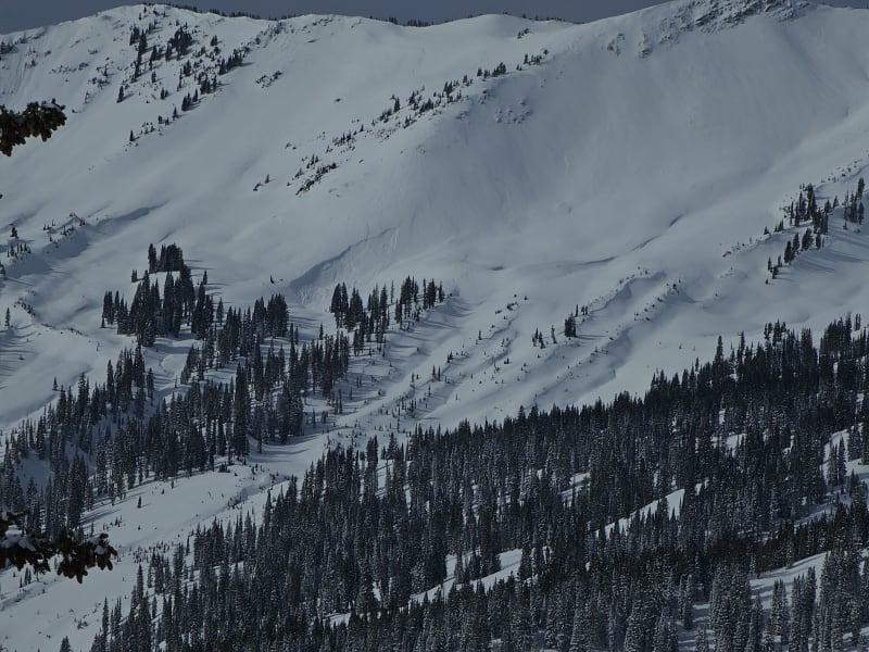 Observation photo 7