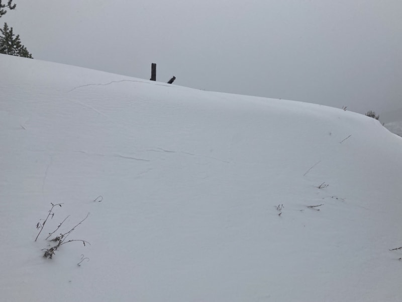 Observation photo 1
