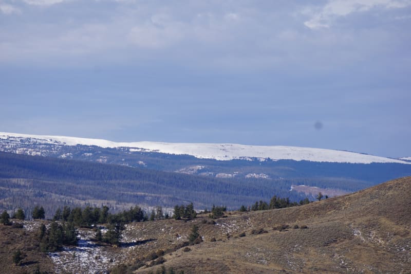 Observation photo 5