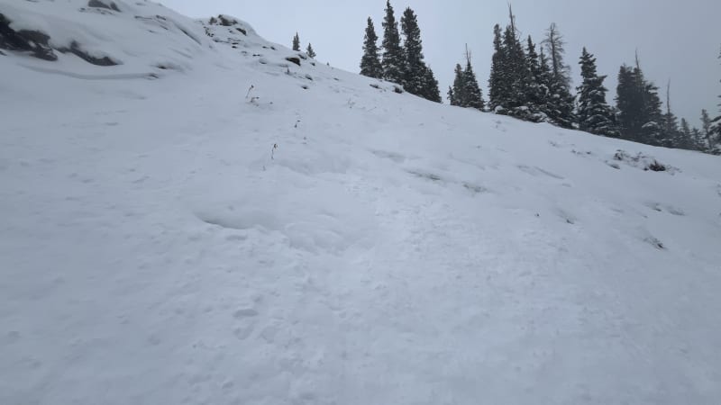 Observation photo 2