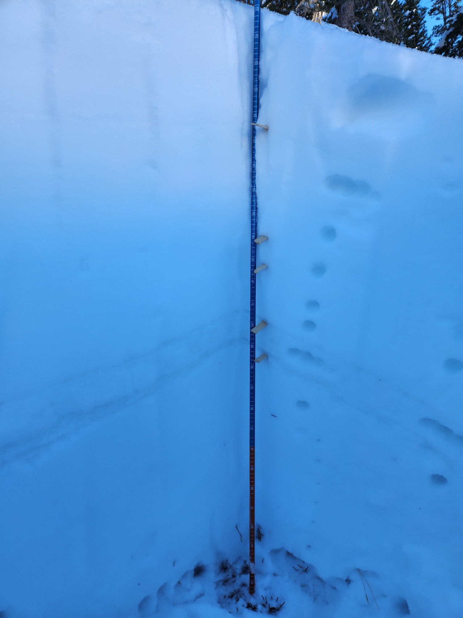 Observation photo