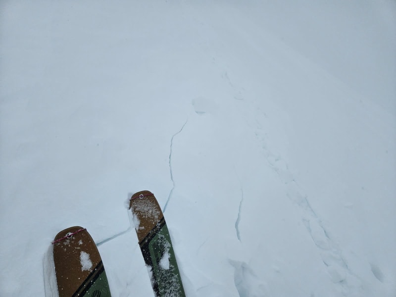 Observation photo 1