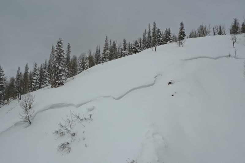 Observation photo 1