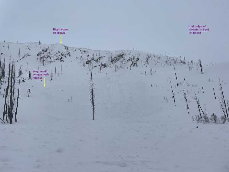 Observation photo 7