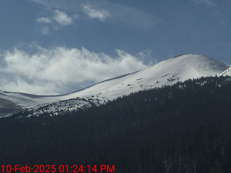 Observation photo 3