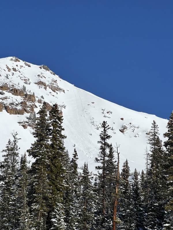 Observation photo 1