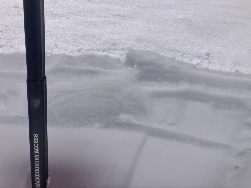 Observation photo 3