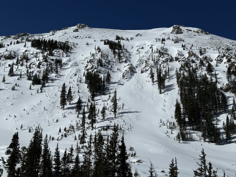 Observation photo 4