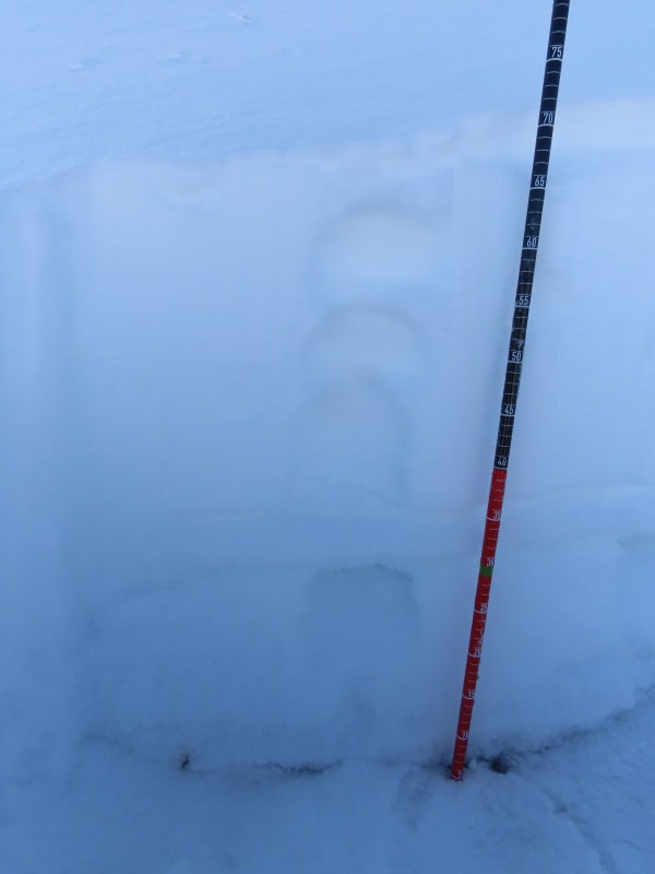Observation photo 5