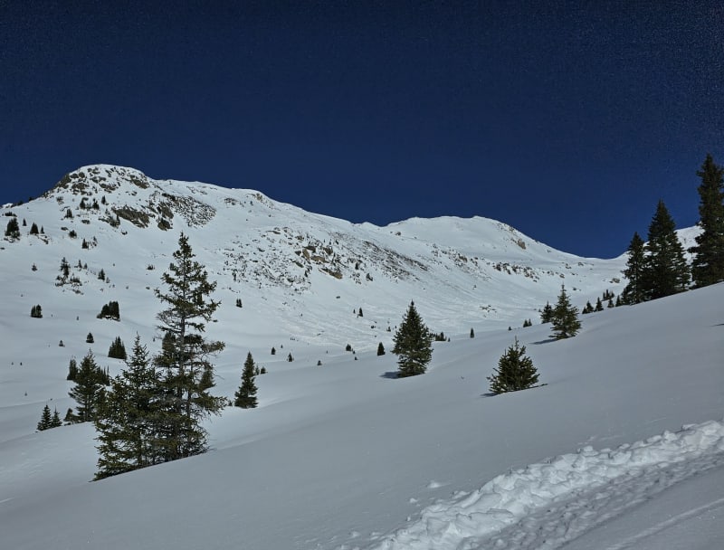 Observation photo 2