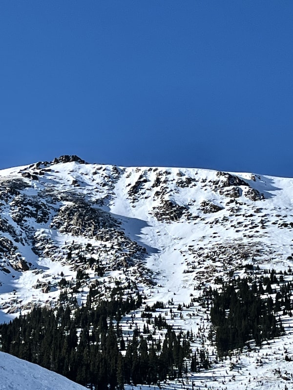 Observation photo 6