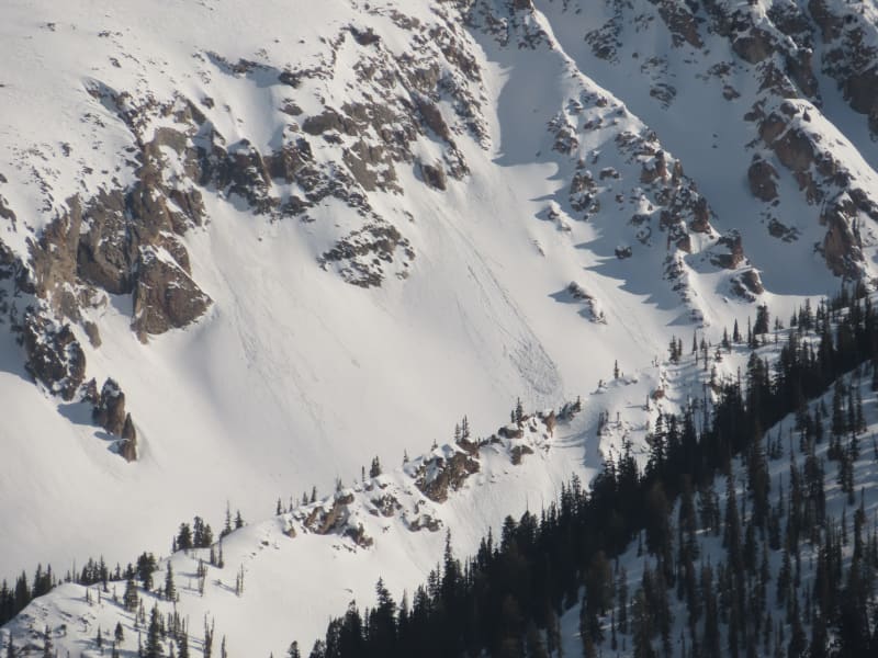 Observation photo 6