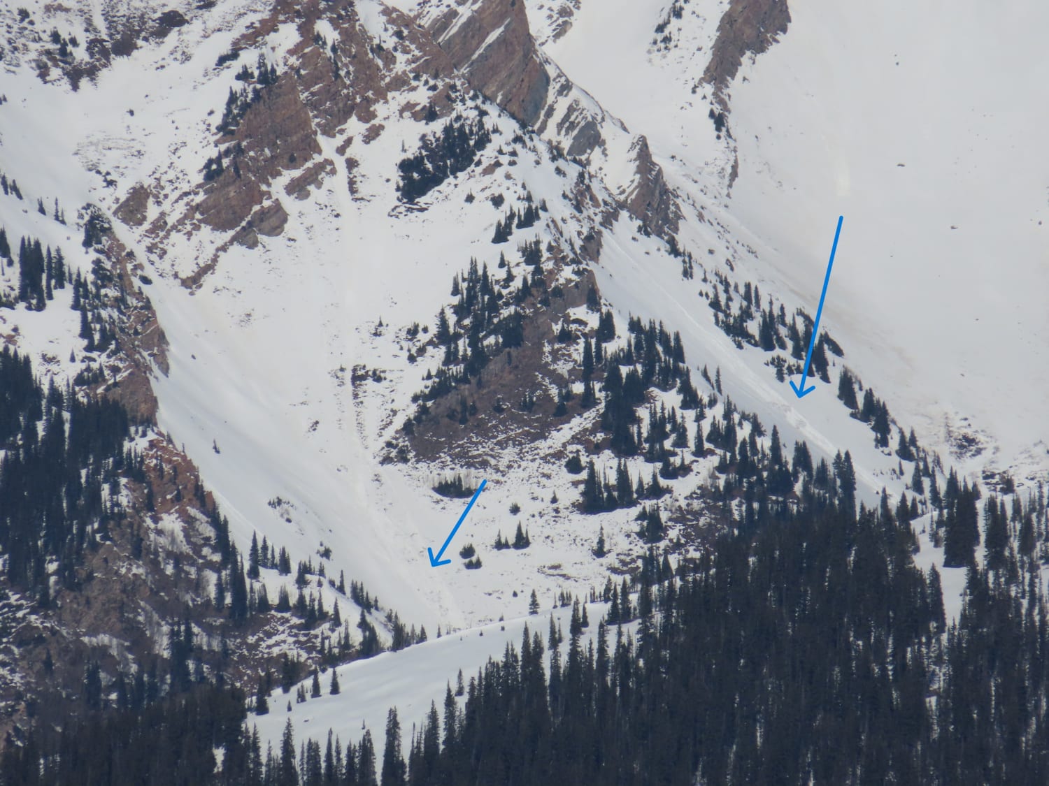 Observation photo