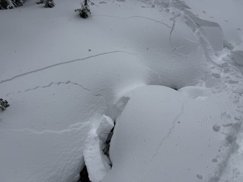 Observation photo 7