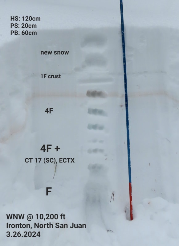 Observation photo 6