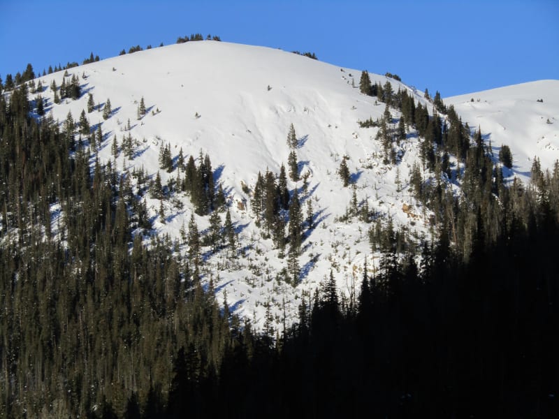 Observation photo 4