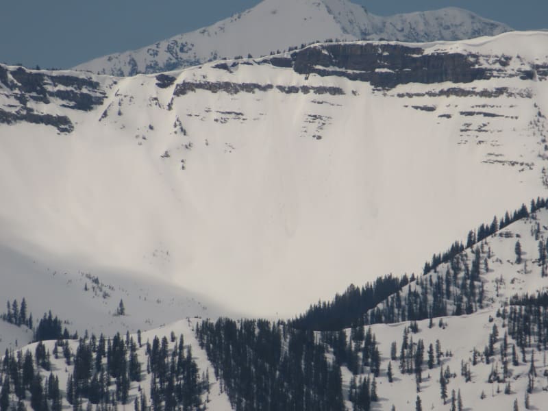 Observation photo 9