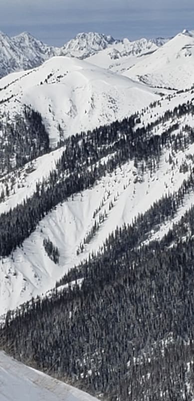 Observation photo 1