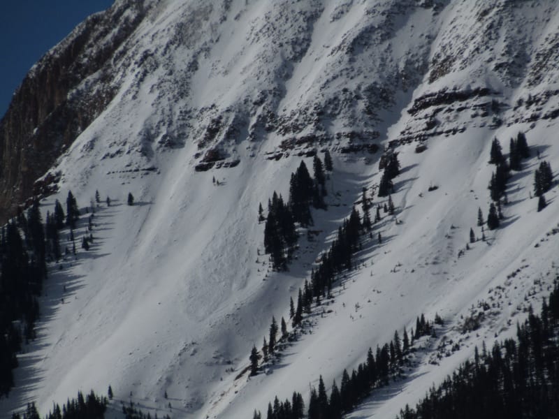 Observation photo 1