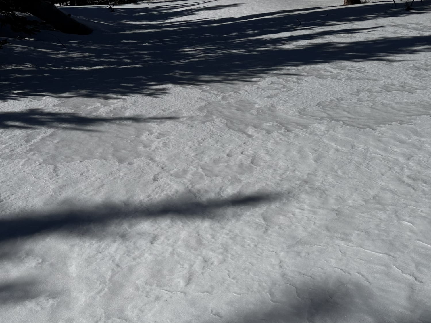 Observation photo