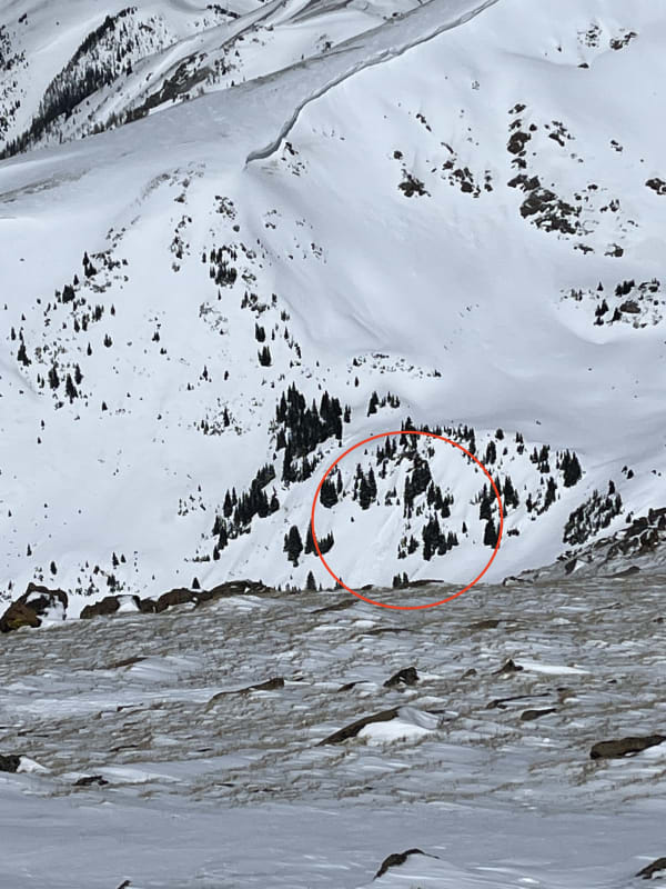 Observation photo 2