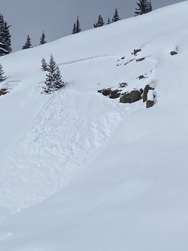 Observation photo 1